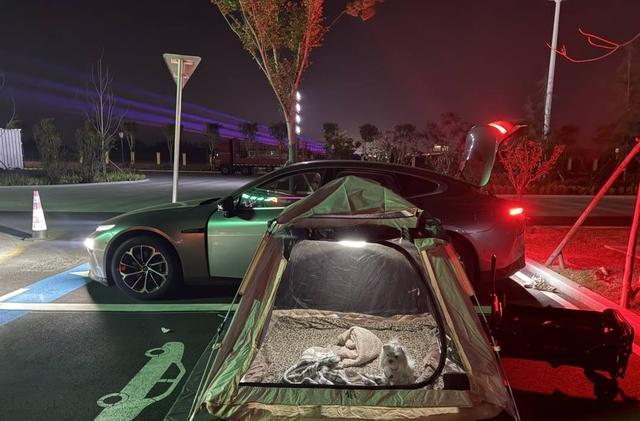 引关注 专家：鼓励探索精神 但安全是前提冰球突破豪华版app年轻人旅游带帐篷过夜(图4)